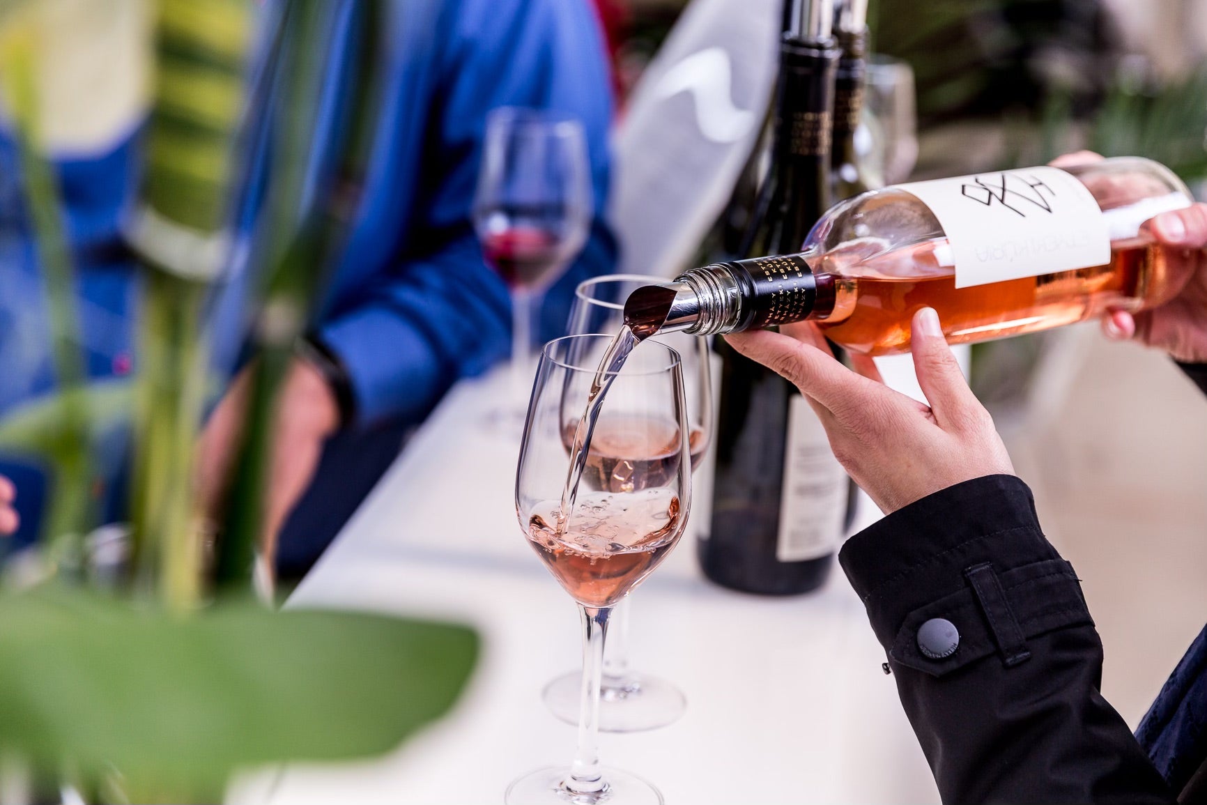 ungarischer Rosé | Kúria Rosé kaufen