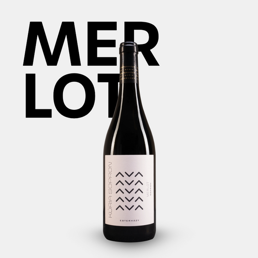 Etyeki Kúria Merlot | ungarischen Merlot kaufen 