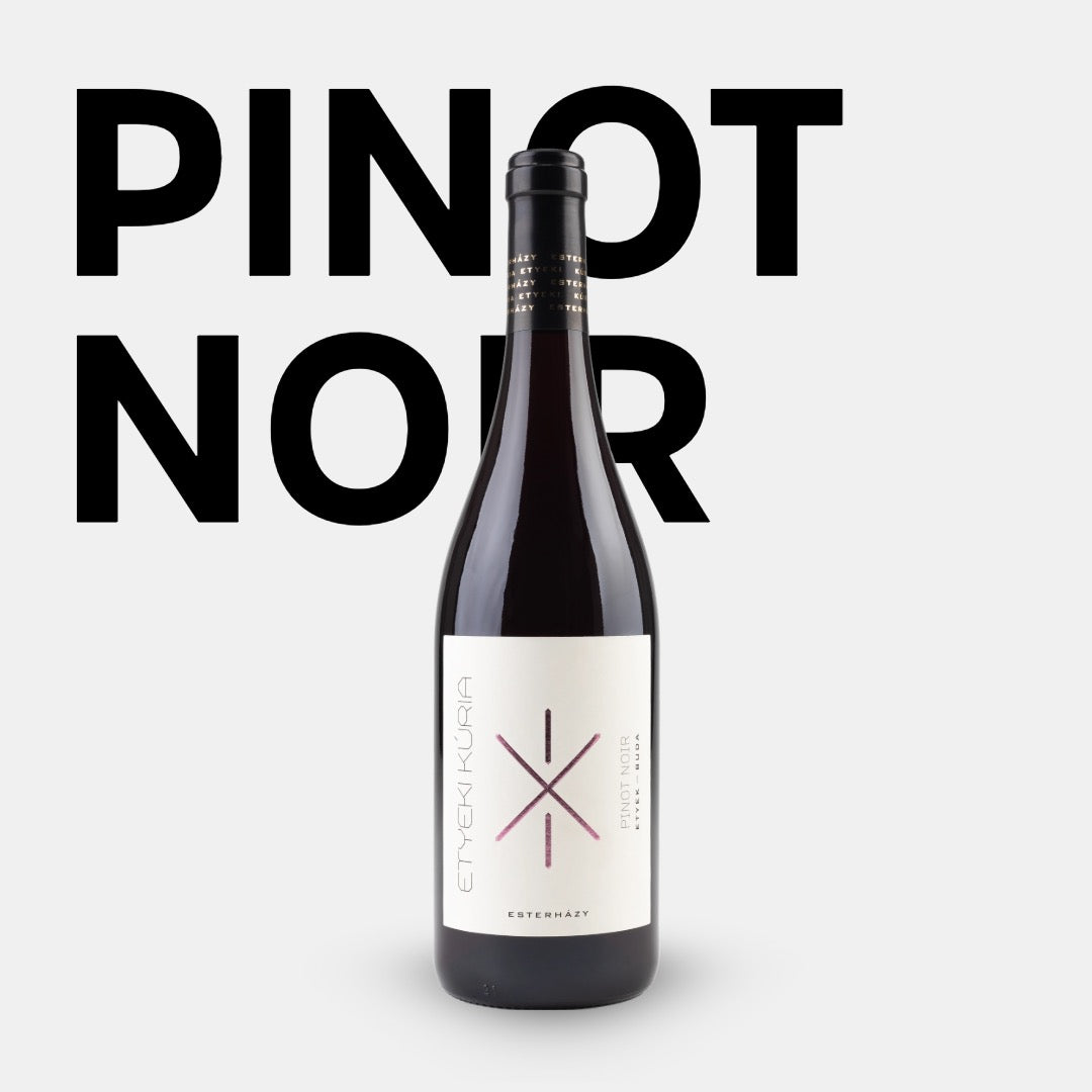 Etyeki Kúria Pinot Noir kaufen