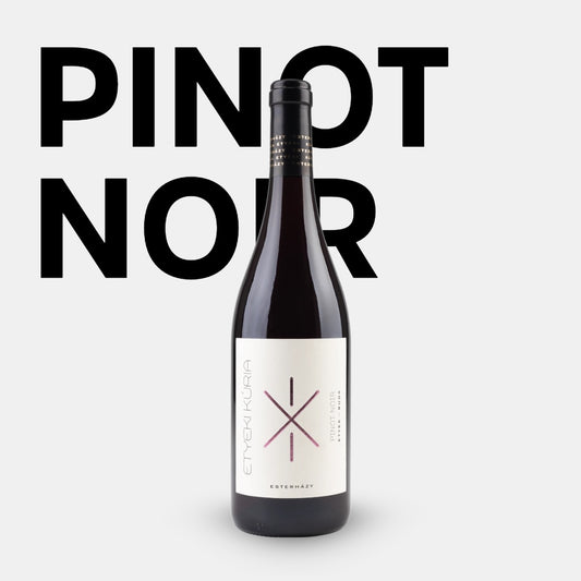Etyeki Kúria Pinot Noir kaufen