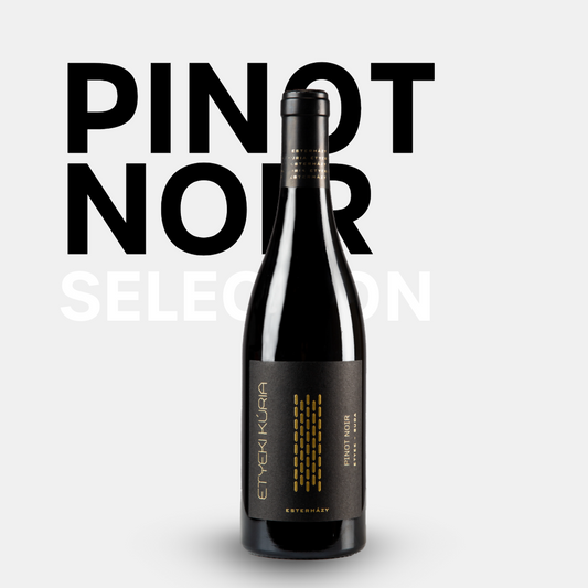 Etyeki Kúria Pinot Noir Selection kaufen